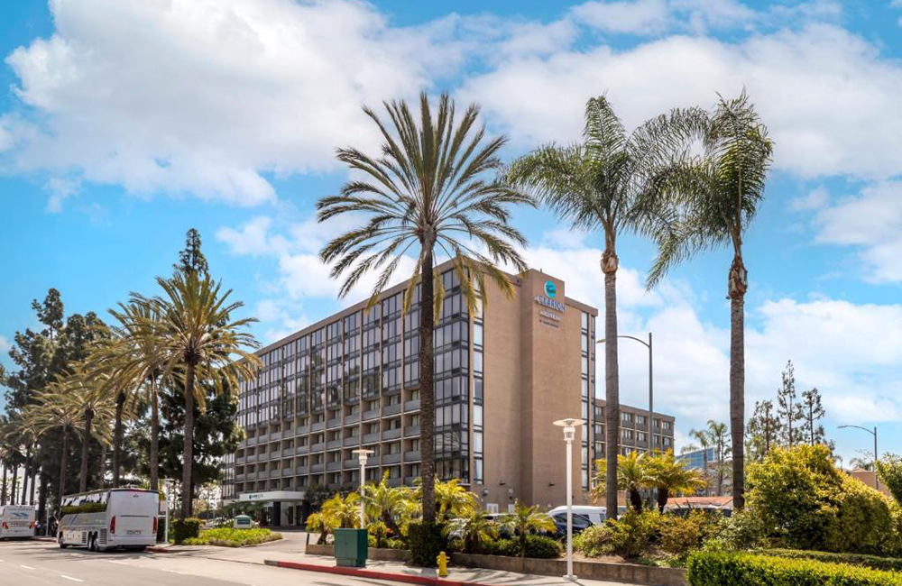 画像の説明 画像の説明