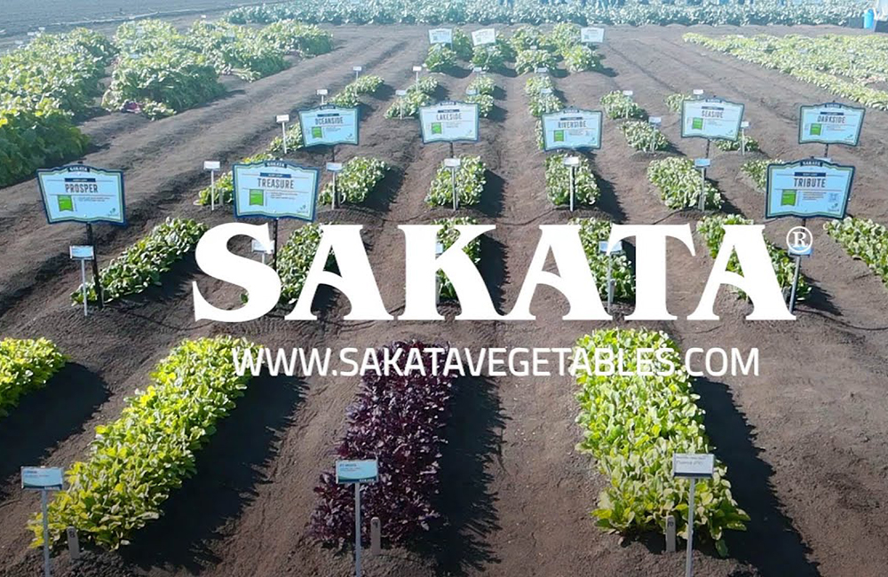 画像の説明 画像の説明