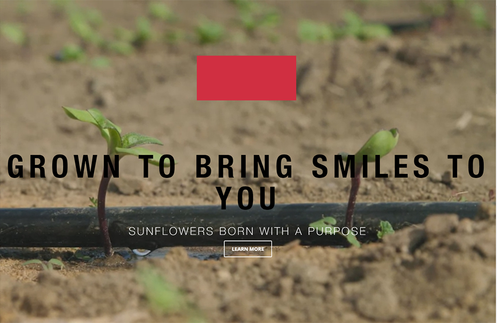 画像の説明 画像の説明